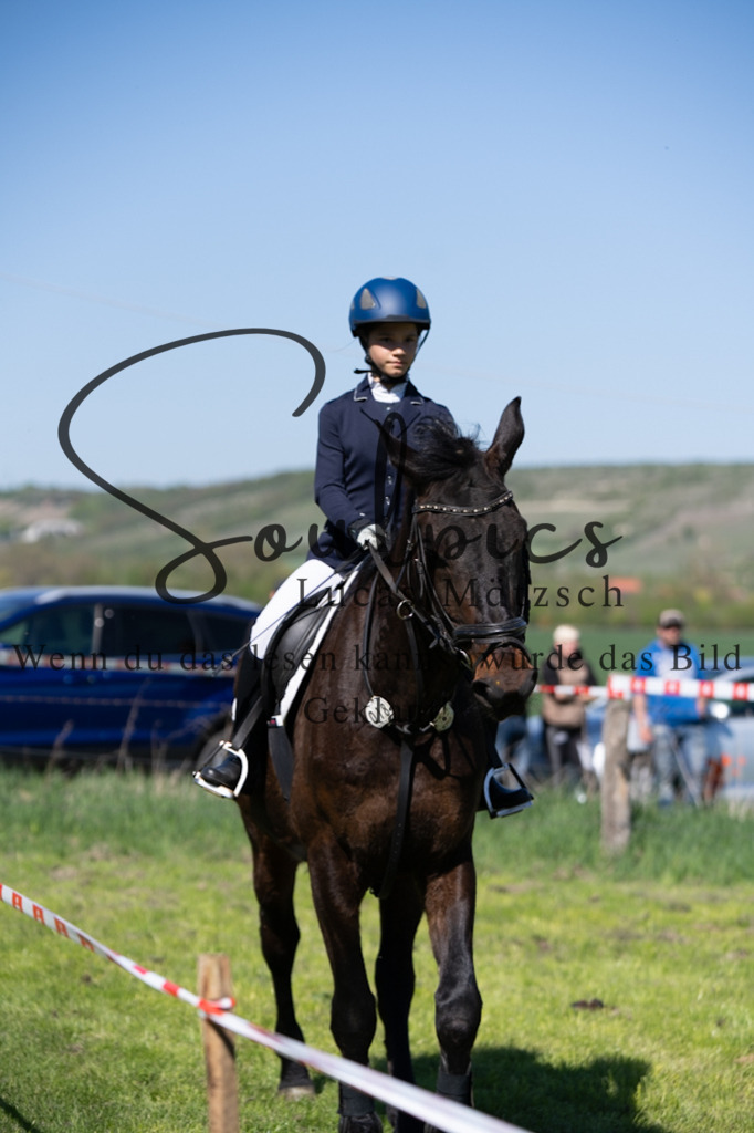 A7V01422 | Pferdefotograf