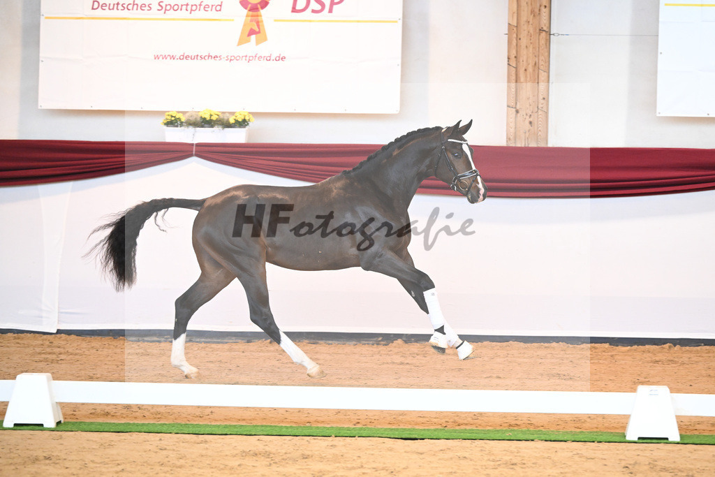 Kat-Nr. 31 v. Ferrantino_Lehner_66221822 | hf-fotografie - Realisiert mit Pictrs.com