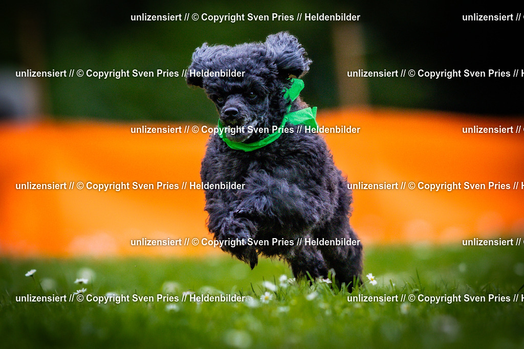 Sven Pries | 2025-05-29 - Pudelrennen KA-Durlach - Realisiert mit Pictrs.com