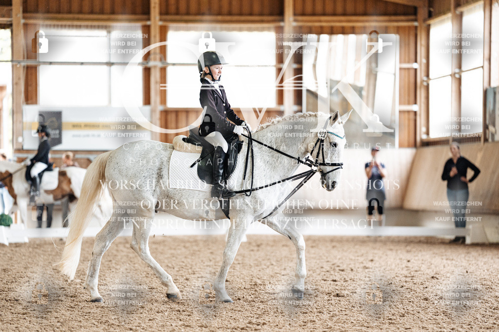 CK900366 | Turnierfotografie Pferdefotografie Trier Rheinland-Pfalz Pferdesport Reitsport Tierfotografie Sportfotografie Pferdevideo Pferdevideografie Equestrianvideography equestrianphotography  - Realisiert mit Pictrs.com