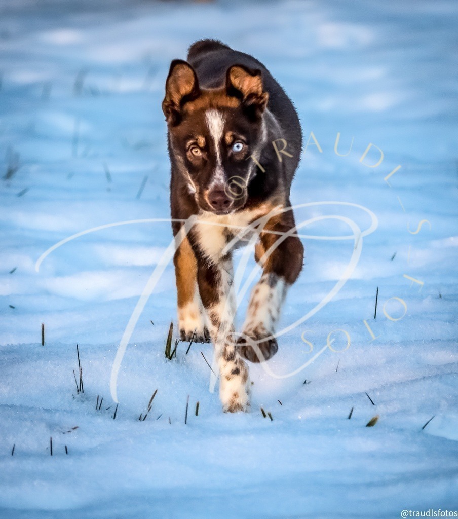 DBBB53E4-0864-4168-834F-64B2BF236E9D | traudl_s_fotos