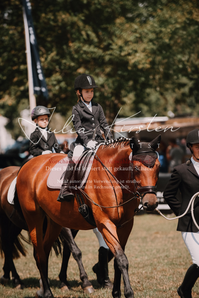 DSC_6117 | Pferde- und Turnierfotografie in Westsachsen. Pferdeportraits, Auftragszeichnungen und intuitive Kunst.