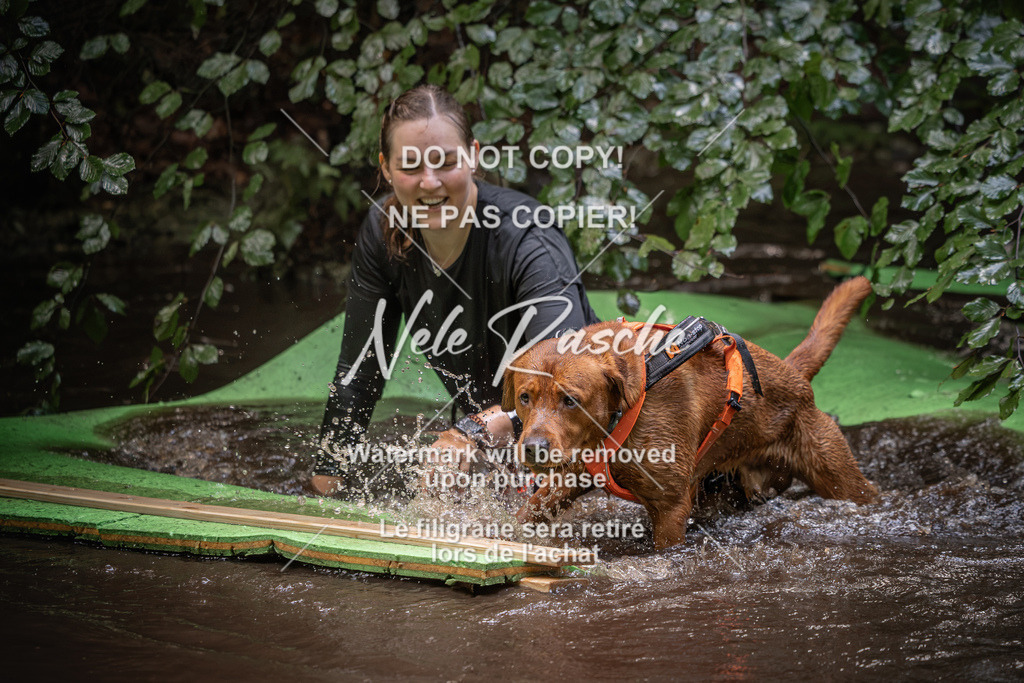 nelerasche_Wingst_Sa1330-1400_204 | nelerasche