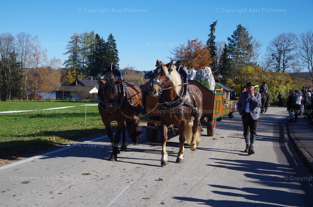 IMGP8486 | fotografiert von Axel PollmannLeonhardi Wallfahrt Benediktbeuern und Murnau, Fronleichnam, Fasching, Landschaft im Loisachtal und Benediktbeuern  - Realisiert mit Pictrs.com
