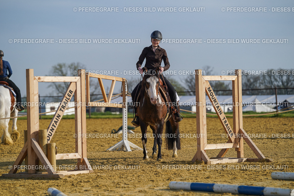 DSC00758 | Pferdegrafie