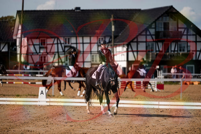 2026_10_03_Siefer-Hof_121810_Z63_41946450 | Professionelle Reitsport-, Turnier- und Eventfotografie von Robert Broda. Galerien mit ausgewählten und bearbeiteten Bildern direkt online ansehen und bestellen.