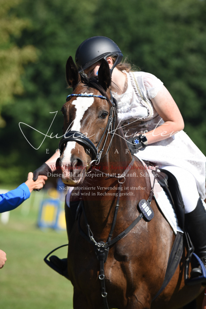 DSC_0464 | Pferde- und Turnierfotografie in Westsachsen. Pferdeportraits, Auftragszeichnungen und intuitive Kunst.