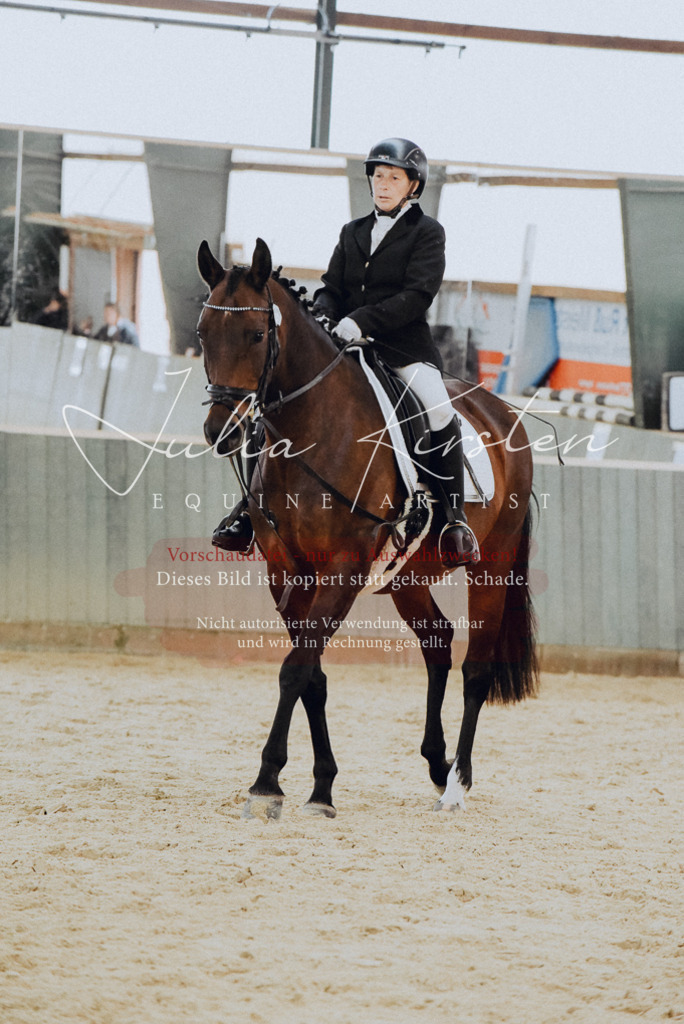DSC_7331 | Pferde- und Turnierfotografie in Westsachsen. Pferdeportraits, Auftragszeichnungen und intuitive Kunst.