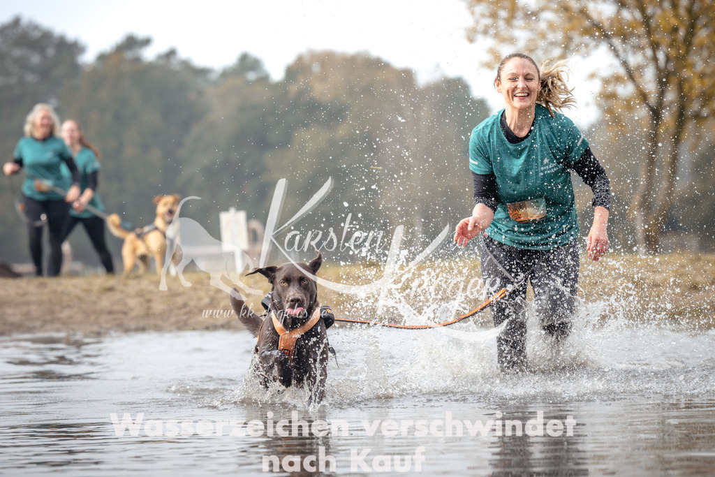 1119_ZZ93988 | kk-dogfotos