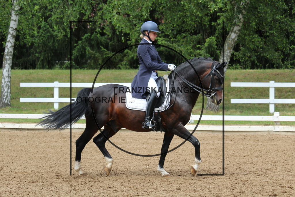 IMG_8433 | franziskalange - Realisiert mit Pictrs.com