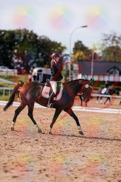 2026_10_03_Siefer-Hof_132235_Z81_72069347 | Professionelle Reitsport-, Turnier- und Eventfotografie von Robert Broda. Galerien mit ausgewählten und bearbeiteten Bildern direkt online ansehen und bestellen.