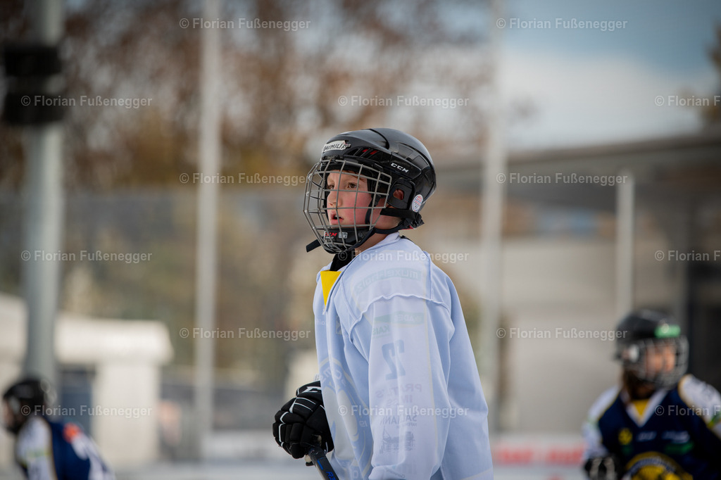 DSC_9132 | "Fussifoto.com – Ihr Ansprechpartner für hochwertige Fotografie! Entdecken Sie kreative Bilder und professionelle Dienstleistungen. Kontaktieren Sie uns für Ihre Projekte!"