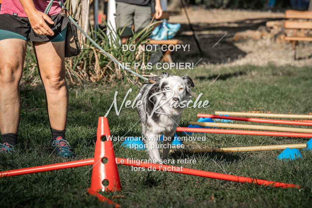 nelerasche_slaw24Sa_68 | nelerasche