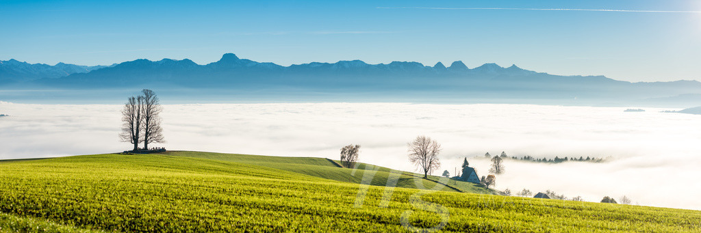 panorama view from Ballenbühl above autumn sea of fog in Emmental | Die ideale Geschenkidee für Naturliebhaber. Naturbilder von Marcel Gross Photography für ihr Zuhause in den verschiedensten Formaten und Materialien. - Realisiert mit Pictrs.com