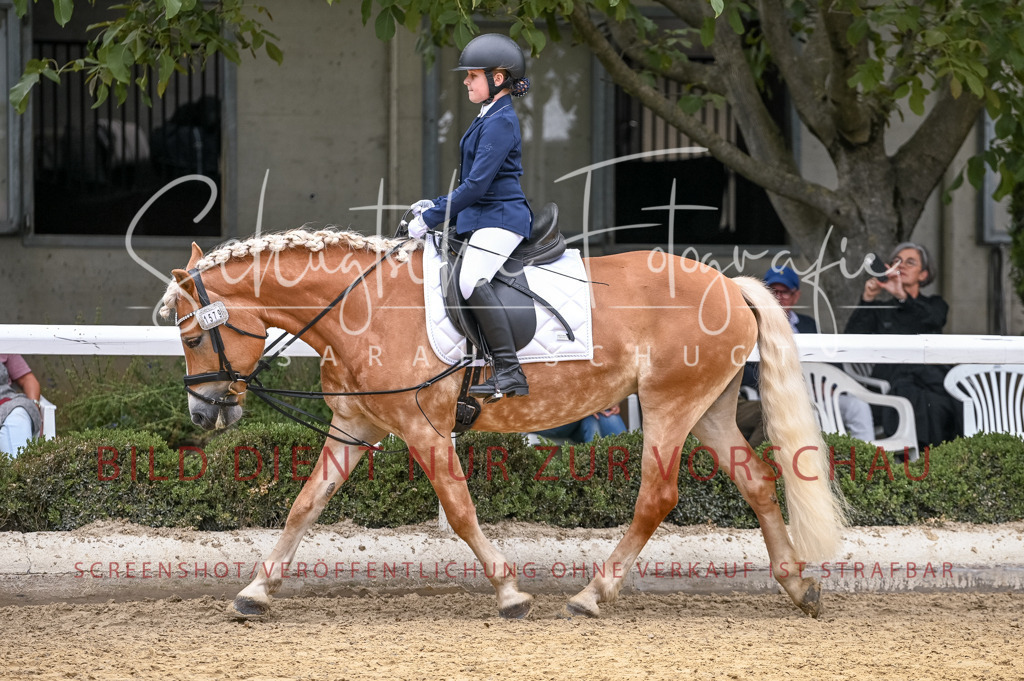 Schugtsche-Aluta25-47.ReiterWB_ST-6 | Schugtsche Fotografie - Realisiert mit Pictrs.com