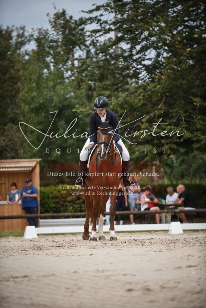 DSC_8386 | Pferde- und Turnierfotografie in Westsachsen. Pferdeportraits, Auftragszeichnungen und intuitive Kunst.
