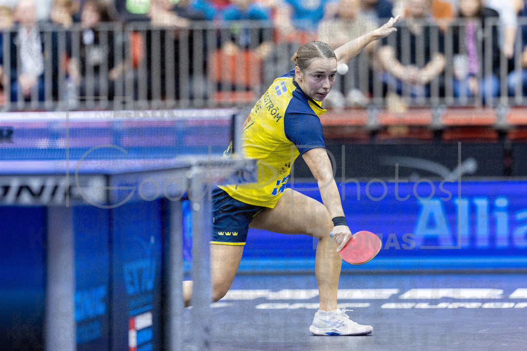 European_Championships_2024-10-19_035 | good-photos - Realisiert mit Pictrs.com