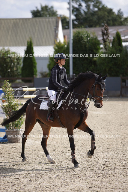 1J2A8643Antonia Selina Brinkop_ Max T_ Kn712_ Havekost | Foto- und Videografie für alles rund ums Pferd. Hochwertige Bilder und Videos vom Spring- und Dressurreiten, Voltigieren & mehr. Jetzt aktuelle Veranstaltungen und Preise im Shop ansehen. - Realisiert mit Pictrs.com
