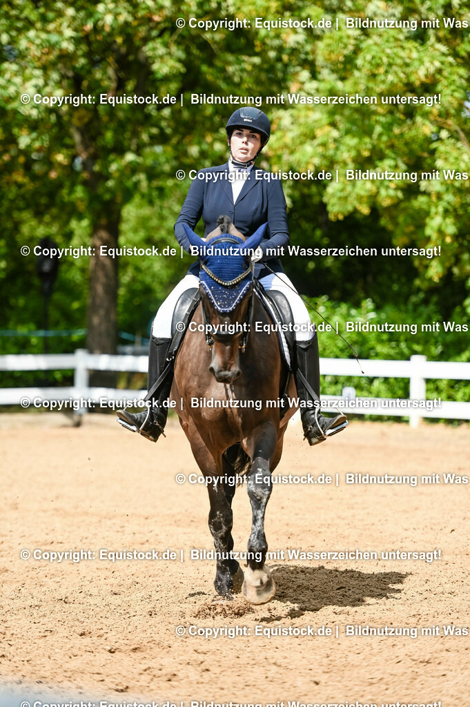 20230716_01_Dressurprüfung Kl.M_0289 | equistock