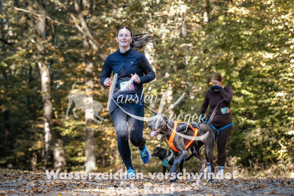 1122_ZZ92109 | kk-dogfotos