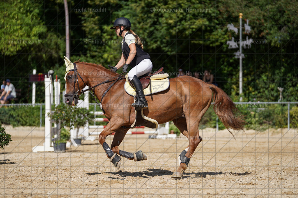 20240824-FAH08350 | Thierhaupten 2024, Bayerisches Landesponyturnier, Turnierbilder, Ponybilder, Turnierfotografen Bayern, Fotoagentur Herrmann