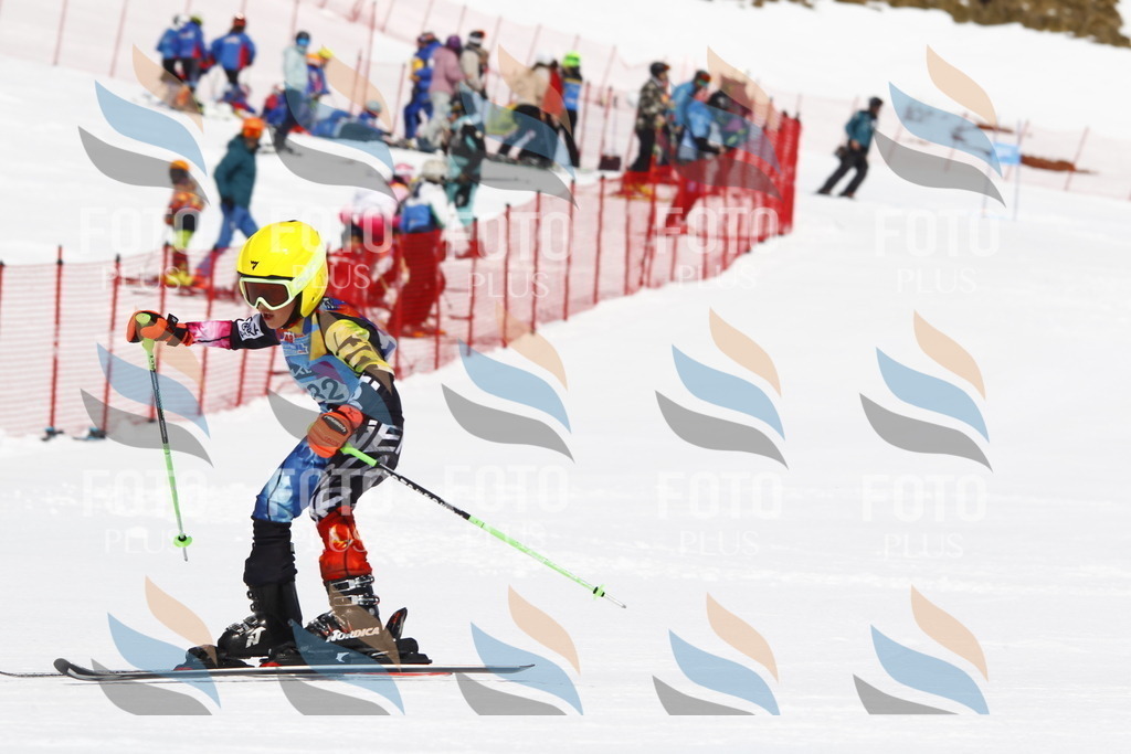 _U3G4795 | holidayphoto