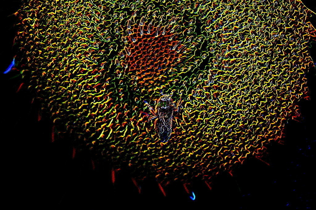 Der Blaue Bogen 062008 | Moderne Digital Art – Exklusive Kunstwerke für dein Zuhause
Entdecke einzigartige Digital Art und verleihe deinen Räumen eine moderne und stilvolle Atmosphäre. Unsere hochwertigen Kunstdrucke kombinieren innovative Technik mit künstlerischer Kreativität und bringen abstrakte, geometrische und futuristische Designs direkt an deine Wand.
✔ Hochauflösende Drucke in brillanten Farben
✔ Exklusive Motive von talentierten Digital Artists
✔ Verschiedene Formate für jeden Raum und Stil
✔ Perfekt als Wandkunst für Wohnzimmer, Büro oder Galerie
Lass dich von unserer modernen, abstrakten und minimalistischen Kunst inspirieren und finde dein neues Lieblingsmotiv! Jetzt bestellen und dein Zuhause mit hochwertiger Digital Art verschönern.
 - Realisiert mit Pictrs.com