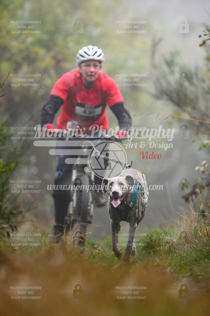 MompixPhotography_20TSB_E4_Bike-157 | PayLife