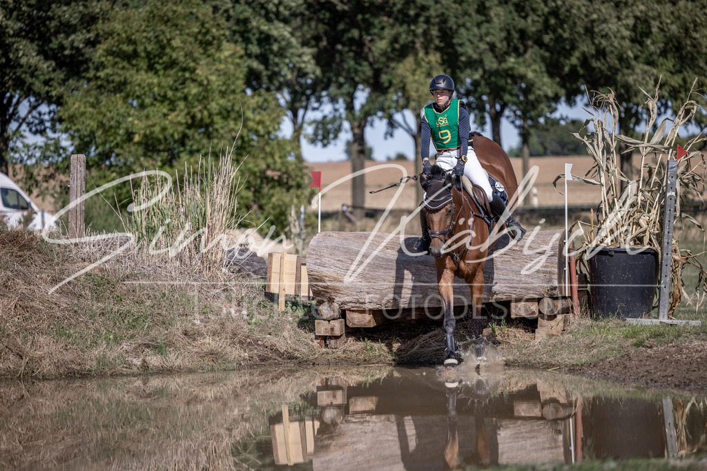 20260906-_3LI5615 | Tierfotografie Pferde, Hunde, Katzen, Haustiere.
Turnierfotografie Reitturniere, Reiten, Springreiten, Dressur in Hanau, dem Main-Kinzig-Kreis und dem Rhein-Main- Gebiet um Frankfurt
