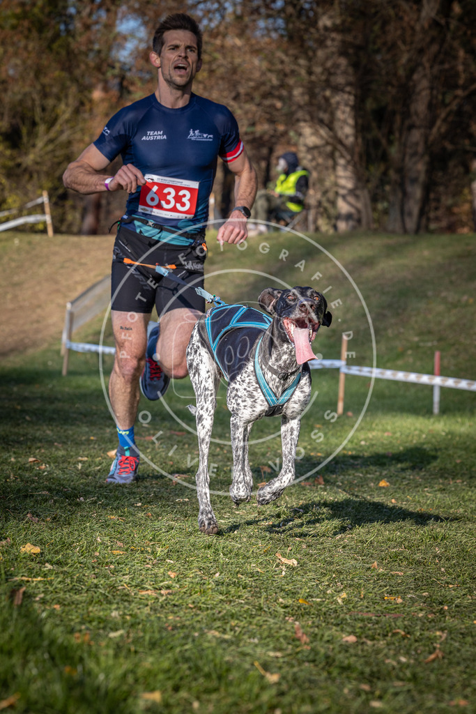 CaniXpix_0L8A8897 | Hundefotografie, Tierfotograf, Pfotenfotografie, Fotoshooting Hund, Hunde Portrait, Hundesport, Hundeportraits, Heideshooting, Hunde, Sportfotograf, Hundefotograf, Turnierhundsport, THS,  - Realisiert mit Pictrs.com