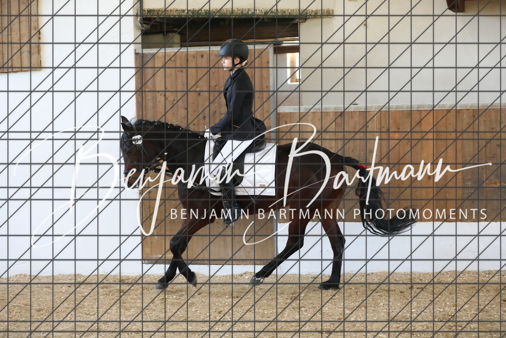 AZ2A8946 | Benjamin Bartmann Photomoments