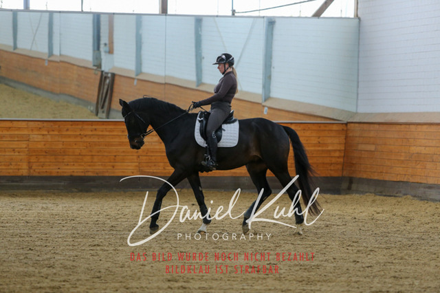 IMG_3717 | Turniersportfotografie; Pferdefotografie; Dressurfotografie