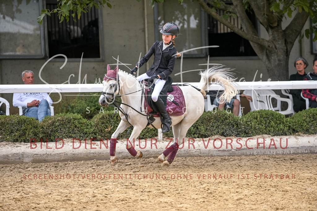 Schugtsche-Aluta25-46.ReiterWB_STG-171 | Schugtsche Fotografie - Realisiert mit Pictrs.com