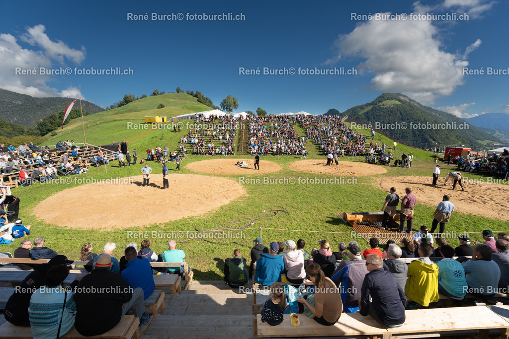 DSC08514 | René Burch leidenschaftlicher Fotograf aus Kerns in Obwalden.  Hier finden sie Sport, Landschaft und Natur Fotografie.
 - Realisiert mit Pictrs.com
