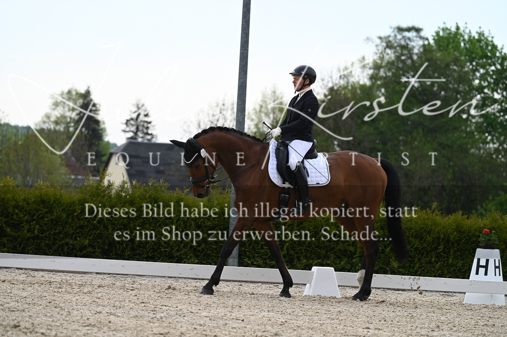 20230512_JK-Röhrsdorf-02-271 | Pferde- und Turnierfotografie in Westsachsen. Pferdeportraits, Auftragszeichnungen und intuitive Kunst.