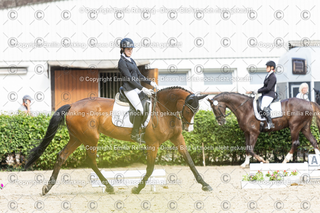 CL5A6340-2 | Emilia Reinking Fotografie - Realisiert mit Pictrs.com