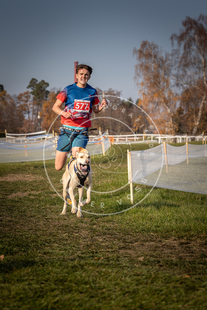 CaniXpix_0L8A9516 | Hundefotografie, Tierfotograf, Pfotenfotografie, Fotoshooting Hund, Hunde Portrait, Hundesport, Hundeportraits, Heideshooting, Hunde, Sportfotograf, Hundefotograf, Turnierhundsport, THS,  - Realisiert mit Pictrs.com