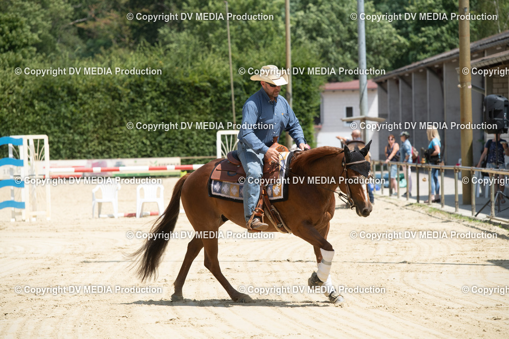 ZS3_9985 | dv-media-shop - Realisiert mit Pictrs.com