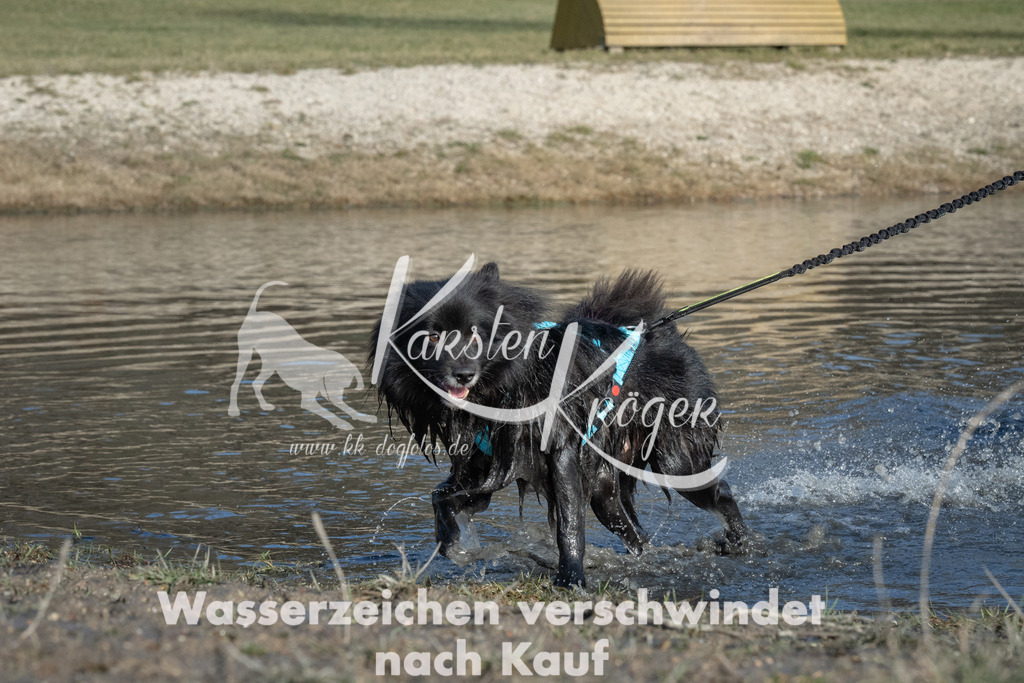 1459_ZZ91314 | kk-dogfotos