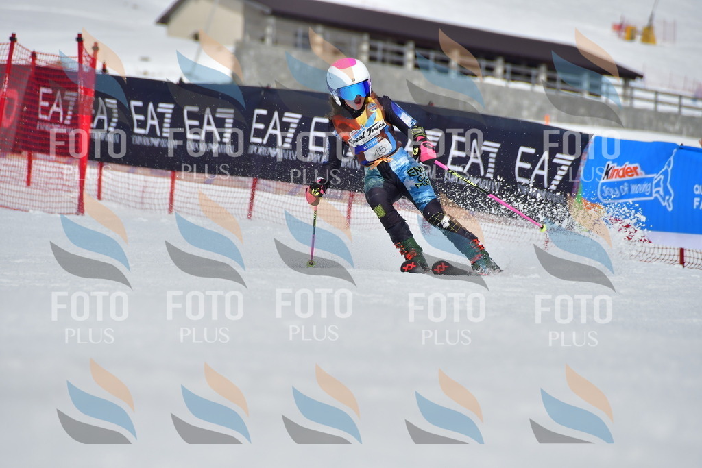 _DSC6779 | holidayphoto