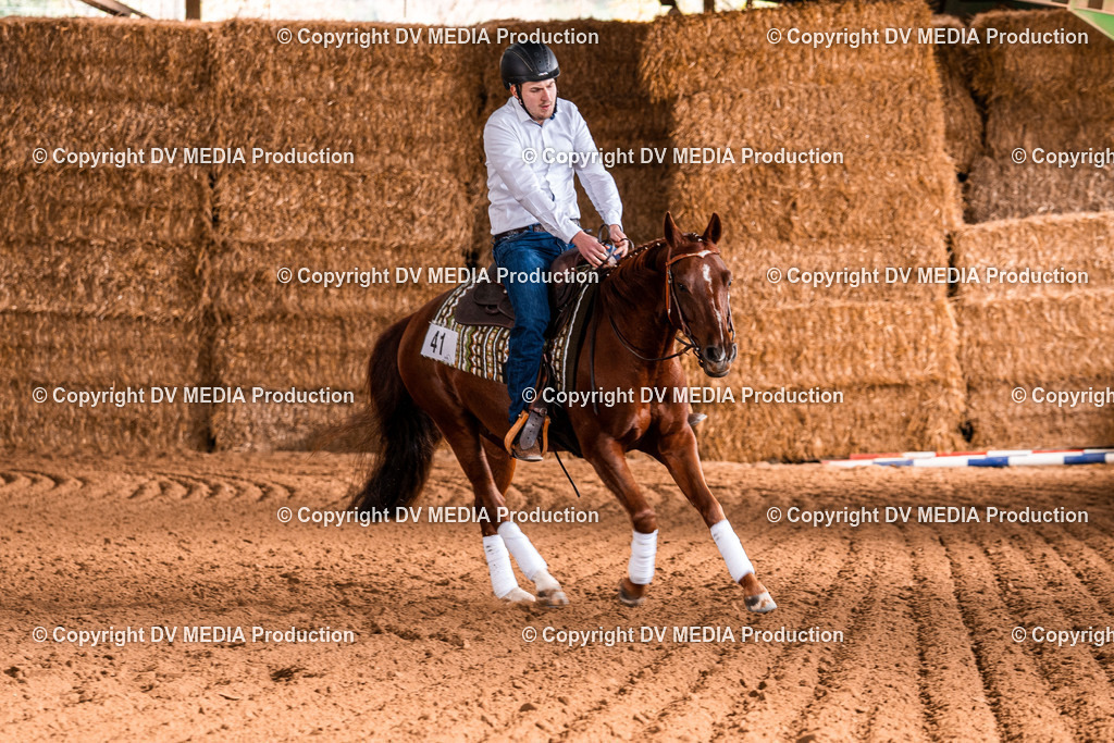 Balingen Tag 2-960 | dv-media-shop - Realisiert mit Pictrs.com