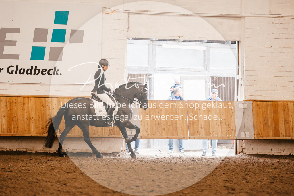 3I6A2878 | Stimmungsvolle Portraits und Reitsportfotografie im Ruhrgebiet und im Münsterland.

Pferdefotografie, Hundefotografie, Tierfotografie, Reportagen, Portraits von Tier und Mensch, Turnierfotografie in Bochum, Recklinghausen, Marl, Haltern am See, Dülmen.. - Realisiert mit Pictrs.com