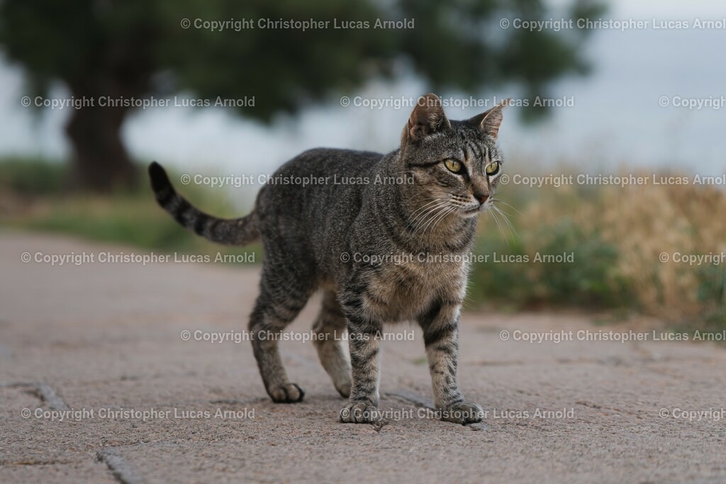 03 | bildkomponist - Realisiert mit Pictrs.com