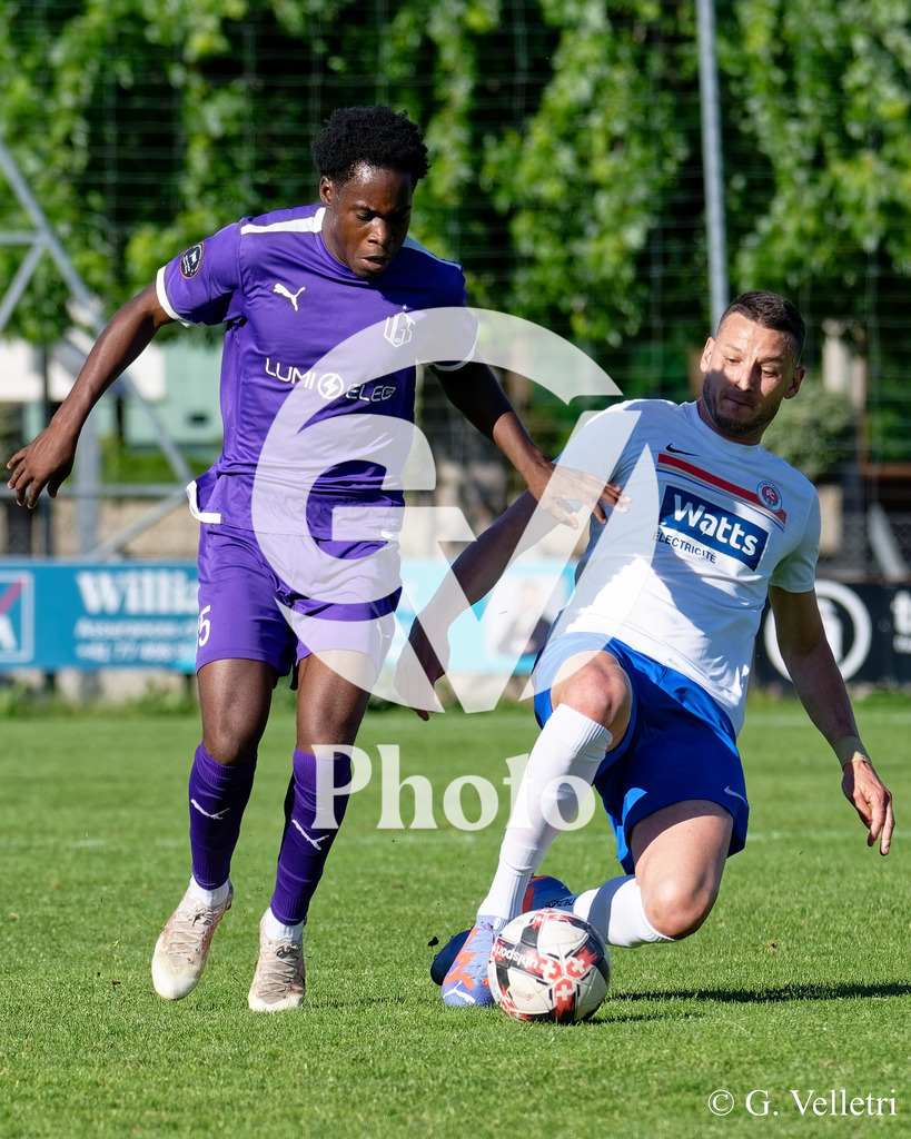 DSC_5605 | Velletri Photo