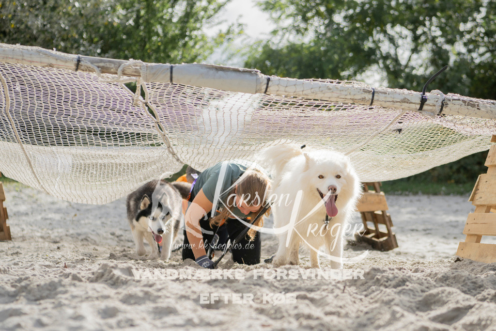 1328_ZZ97112 | kk-dogfotos