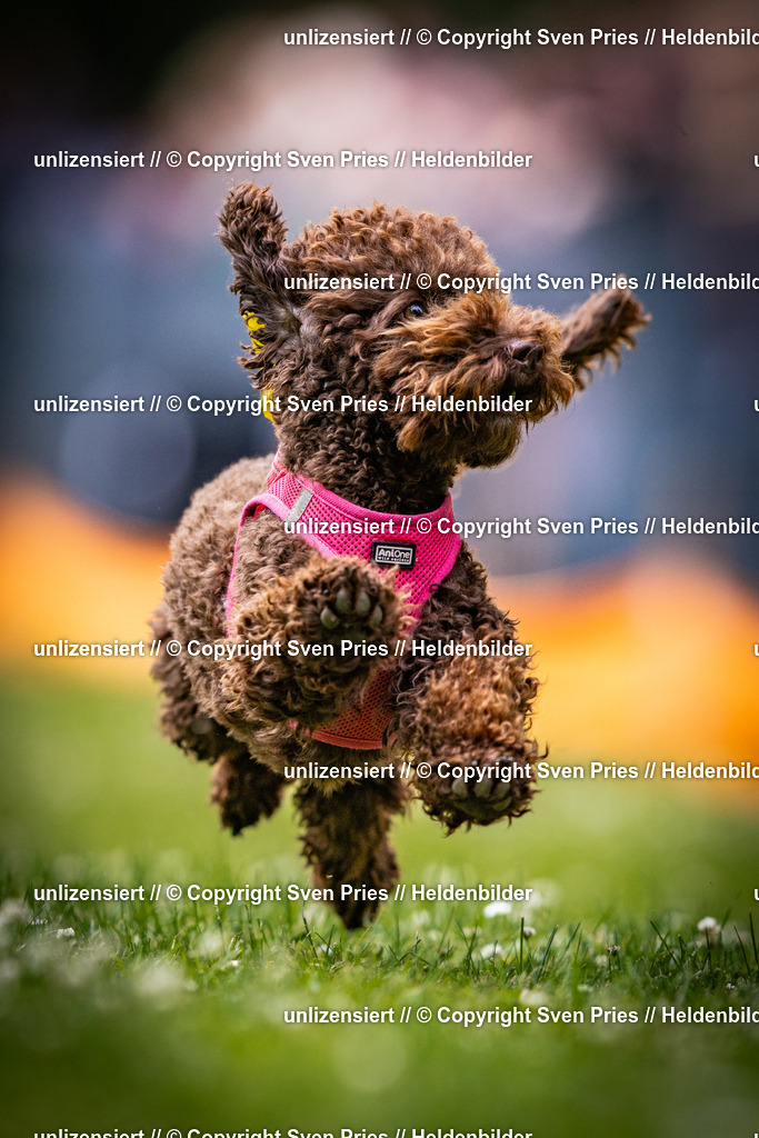 Sven Pries | 2025-05-29 - Pudelrennen KA-Durlach - Realisiert mit Pictrs.com