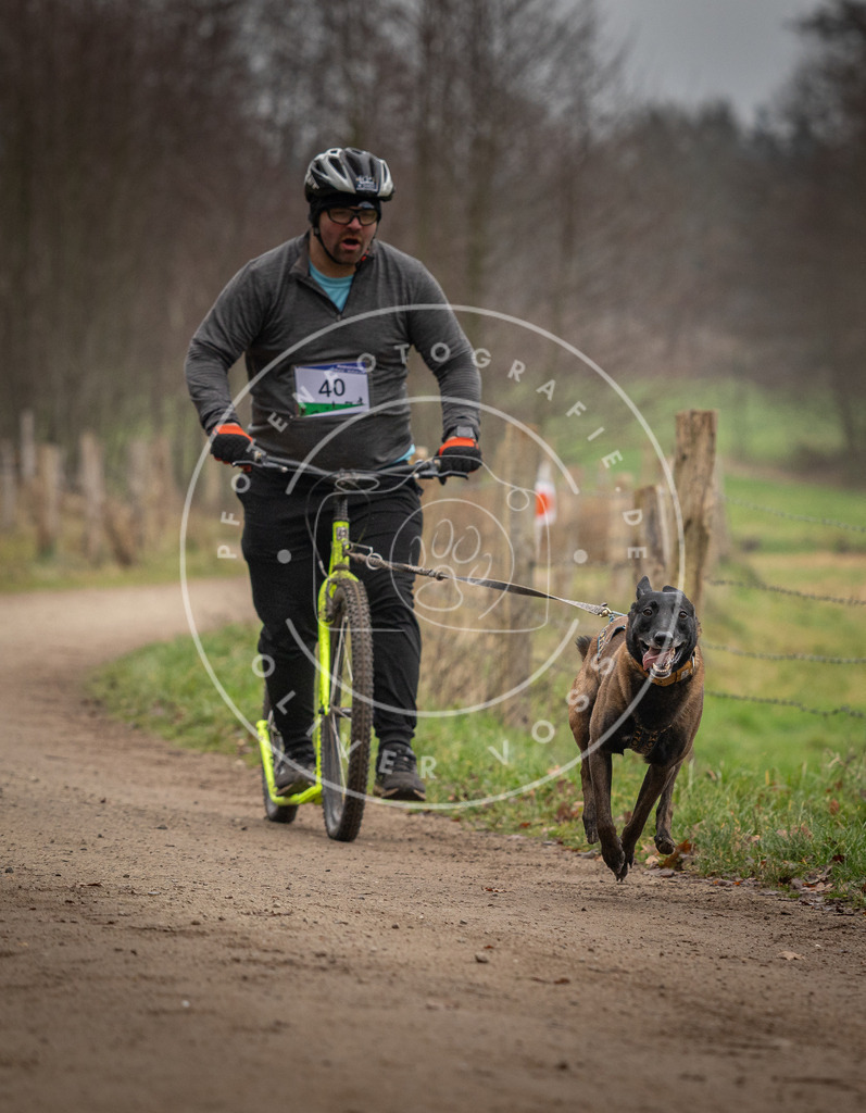 Pfotenfotografie_DV3A2570 | Hundefotografie, Tierfotograf, Pfotenfotografie, Fotoshooting Hund, Hunde Portrait, Hundesport, Hundeportraits, Heideshooting, Hunde, Sportfotograf, Hundefotograf, Turnierhundsport, THS,  - Realisiert mit Pictrs.com