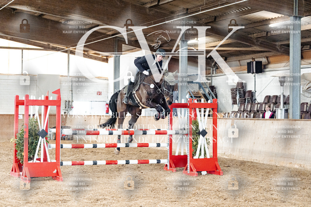CK906199 | Turnierfotografie Pferdefotografie Trier Rheinland-Pfalz Pferdesport Reitsport Tierfotografie Sportfotografie Pferdevideo Pferdevideografie Equestrianvideography equestrianphotography  - Realisiert mit Pictrs.com