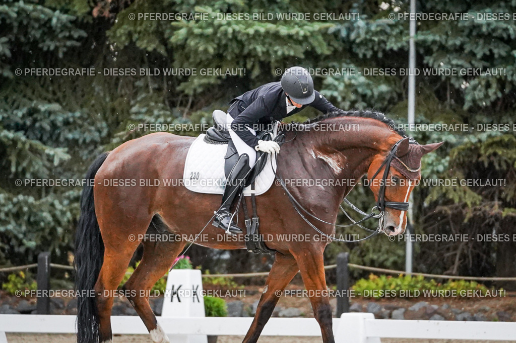 DSC09892 | Pferdegrafie