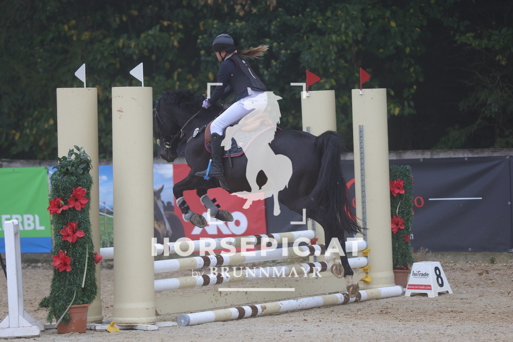 0P6A9803 | Willkommen bei Brunnmayr - Design & Fotografie – Ihrem Spezialisten für Reitturniere und Pferdeveranstaltungen in Oberösterreich, Salzburg und Bayern! Seit über 17 Jahren sind wir leidenschaftlich dabei.